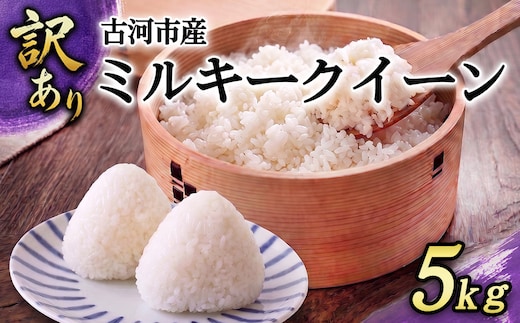 【訳あり】令和7年 古河市産 ミルキークイーン 5kg| 米 こめ コメ 5キロ ミルキークイーン みるきーくいーん 国産 茨城県産 古河市産 2025年産 着日指定可 着日指定OK _GF26