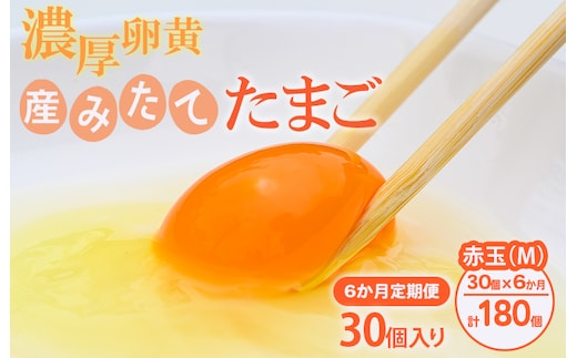 【6ヶ月定期便】小久保ファーム 濃厚卵黄 産みたてたまご 赤玉30個入り（M玉） | 定期便 6カ月 6回 卵 30個 赤玉 玉子 たまご タマゴ 生卵 鶏卵 産みたて 新鮮 濃厚 健康 国産 ギフト 贈答 贈り物 お中元 お歳暮 プレゼント 農家直送 _EI06