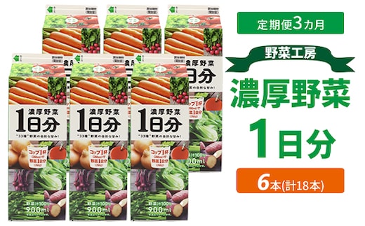 【定期便3カ月】野菜工房 濃厚野菜1日分 6本 | 野菜 ドリンク ジュース 砂糖不使用 食塩不使用 朝食 野菜ジュース 飲みやすい 便利 手軽 おいしい 美味しい 茨城県 古河市 _DT16