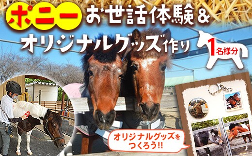ポニーお世話体験＆オリジナルグッズ作り 1名分 | ネーブルパーク ポニー 厩務体験 体験 公園 子供 子ども 休日 夏休み 冬休み GW 贈り物 プレゼント 茨城県 古河市 送料無料 着日指定可 _DP96