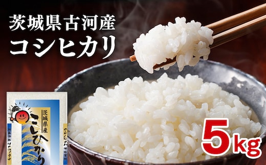 【新米】令和8年産 古河産コシヒカリ（5kg）| 米 こめ コメ 5キロ こしひかり コシヒカリ 古河市産 茨城県産 贈答 贈り物 プレゼント 茨城県 古河市 直送 産地直送 送料無料 着日指定可 着日指定OK ※2026年9月～発送 _DP07