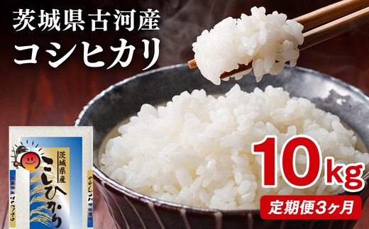 【定期便 3か月】【新米】令和8年産 古河市産コシヒカリ 10kg（5kg×2袋）｜米 コメ こめ ごはん ご飯 ゴハン 白飯 単一米 国産 コシヒカリ こしひかり 10kg 定期便 3ヶ月 3回 茨城県 古河市 ※2026年9月～発送 _DP43