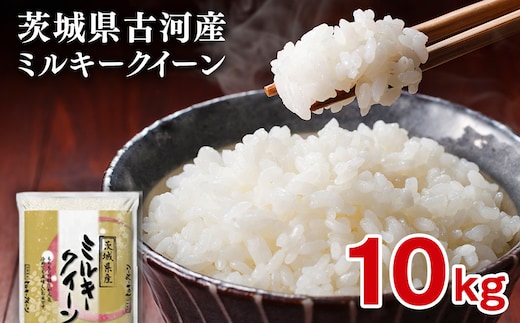 【新米】令和8年産 古河市のお米 ミルキークイーン 10kg（5kg×2袋） | 米 こめ コメ 10キロ ミルキークイーン みるきーくいーん 古河市産 茨城県産 贈答 贈り物 プレゼント 茨城県 古河市 直送 産地直送 送料無料 着日指定可 着日指定OK ※2026年9月～発送 _DP91
