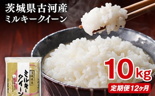 【定期便 12か月】【新米】令和8年産 古河市産ミルキークイーン 10kg(5kg×2袋) | 米 こめ コメ みるきーくいーん 単一米 国産 産地直送 茨城県 古河市 ※2026年9月～発送 _DP95