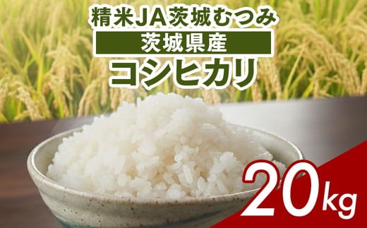 【令和7年産】茨城県産コシヒカリ20kg（10kg×2袋）精米JA茨城むつみ | 米 こめ コメ 20キロ 精米 こしひかり コシヒカリ 茨城県産 贈答 贈り物 プレゼント 茨城県 古河市 JA 農協 直送 産地直送 送料無料 _CL06 ※2025年10月下旬頃より順次発送予定