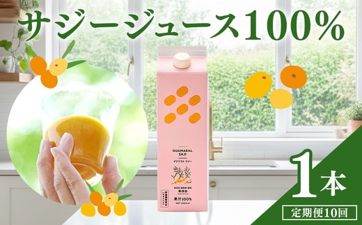 【定期便10カ月】サジー グアマラルサジー 1000ml 毎月1本10カ月コース｜サジージュース サジー シーベリー 沙棘 グアマラル 健康ドリンク 健康 美容 栄養 果汁 鉄分補給 栄養補給 健康食品 _DX29