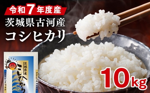 令和7年産 古河市のお米 コシヒカリ 10kg(5kg×2袋） | 米 こめ コメ 10キロ こしひかり コシヒカリ 古河市産 茨城県産 贈答 贈り物 プレゼント 茨城県 古河市 直送 産地直送 送料無料 着日指定可 着日指定OK ※2025年9月上旬頃より順次発送予定 _DP90