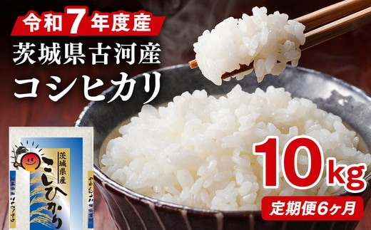 【定期便 6か月】令和7年産 古河市産コシヒカリ 10kg（5kg×2袋）｜米 コメ こめ ごはん ご飯 ゴハン 白飯 単一米 国産 コシヒカリ こしひかり 10kg 定期便 6ヶ月 6回 茨城県 古河市_DP44
