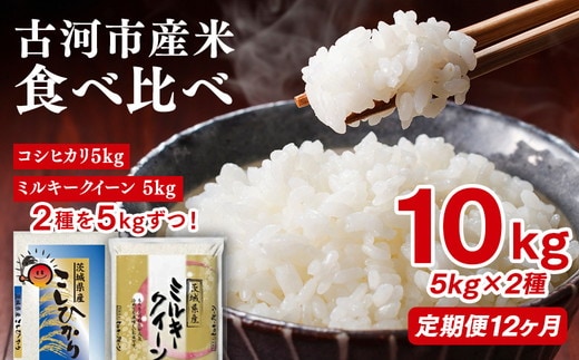 【定期便 12か月】令和7年産 古河市のお米食べ比べ コシヒカリ・ミルキークイーン 5kg×2種類｜米 コメ こめ ごはん ご飯 ゴハン 白飯 単一米 国産 コシヒカリ こしひかり ミルキークイーン 食べ比べ 5kg×2 10kg 定期便 12ヶ月 12回 1年_DP54