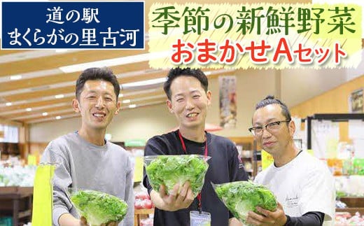道の駅まくらがの里古河 季節の新鮮野菜おまかせAセット ※北海道・沖縄・離島への配送不可 | 野菜 おいしい 産地直送 新鮮 詰め合わせ 定期便 便利 簡単 手軽 やさい ヤサイ 茨城県 古河市 お楽しみ 野菜定期便 セット _BQ03
