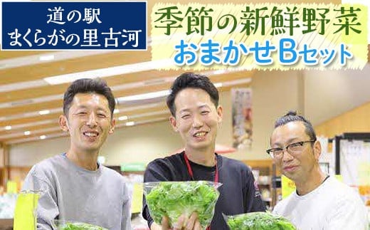 道の駅まくらがの里古河 季節の新鮮野菜おまかせBセット ※北海道・沖縄・離島への配送不可 | 野菜 おいしい 産地直送 新鮮 詰め合わせ 定期便 便利 簡単 手軽 やさい ヤサイ 茨城県 古河市 お楽しみ 野菜定期便 セット _BQ04