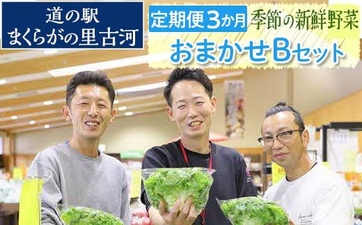【定期便３か月】道の駅まくらがの里古河 季節の新鮮野菜おまかせBセット ※北海道・沖縄・離島への配送不可 | 野菜 おいしい 産地直送 新鮮 詰め合わせ 定期便 便利 簡単 手軽 やさい ヤサイ 茨城県 古河市 お楽しみ 野菜定期便 セット_BQ06