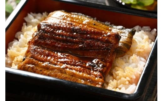 うなぎ 炭火 かば焼き 上 2人前 | 備長木炭使用 老舗増田家 ウナギ 鰻 家庭用 魚 川魚 ギフト 贈答 贈り物 お祝 ご褒美 記念日 景品 古河市 _ED02