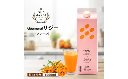 サジージュース 100% 1000ml×1本 サジー シーベリー 沙棘 グアマラル 健康ドリンク 健康 美容 栄養 果汁 鉄分補給 栄養補給 健康食品_DX02