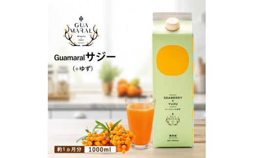 サジージュース+ゆず 1000ml×1本 サジー シーベリー 沙棘 グアマラル 健康ドリンク 健康 美容 栄養 果汁 鉄分補給 栄養補給 健康食品_DX03
