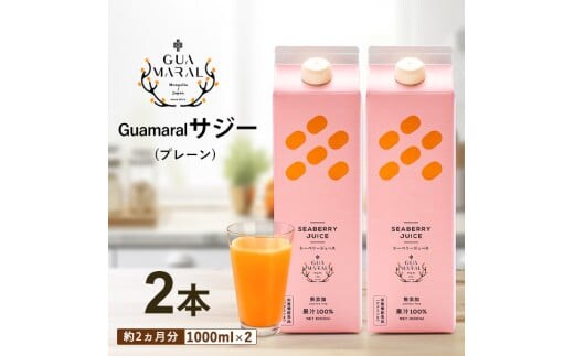 サジージュース 100% 1000ml×2本セット サジー シーベリー 沙棘 グアマラル 健康ドリンク 健康 美容 栄養 果汁 鉄分補給 栄養補給 健康食品_DX04