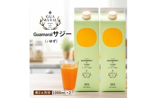 サジージュース+ゆず 1000ml×2本セット サジー シーベリー 沙棘 グアマラル 健康ドリンク 健康 美容 栄養 果汁 鉄分補給 栄養補給 健康食品_DX05