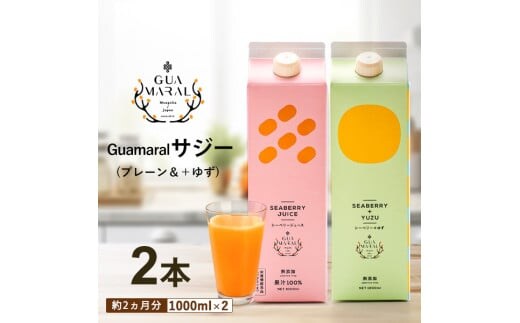 サジージュース 100%と+ゆず 1000ml×各1本セット（計2本）サジー シーベリー 沙棘 グアマラル 健康ドリンク 健康 美容 栄養 果汁 鉄分補給 栄養補給 健康食品_DX06