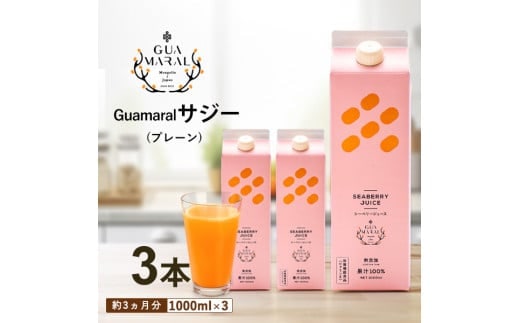 サジージュース 100% 1000ml×3本セット サジー シーベリー 沙棘 グアマラル 健康ドリンク 健康 美容 栄養 果汁 鉄分補給 栄養補給 健康食品_DX07