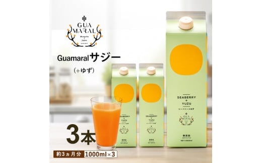 サジージュース+ゆず 1000ml×3本セット サジー シーベリー 沙棘 グアマラル 健康ドリンク 健康 美容 栄養 果汁 鉄分補給 栄養補給 健康食品_DX08
