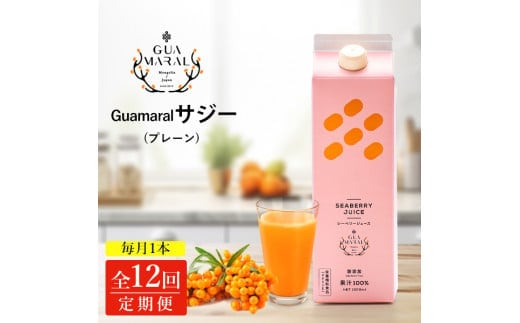 【定期便】 サジージュース 100% 1000ml×毎月1本 12ヶ月コース サジー シーベリー 沙棘 グアマラル 健康ドリンク 健康 美容 栄養 果汁 鉄分補給 栄養補給 健康食品_DX09
