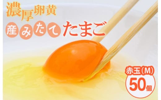 小久保ファーム 濃厚卵黄 産みたてたまご 赤玉50個入り（M玉）| 卵 50個 赤玉 玉子 たまご タマゴ 生卵 鶏卵 生みたて 産みたて 新鮮 濃厚 健康 TKG たまごかけごはん ご飯のお供 国産 ギフト 贈答 贈り物 お中元 お歳暮 プレゼント 茨城県 古河市 直送 農家直送 産地直送 送料無料 _EI02