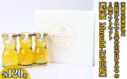 【数量限定】山桜はちみつと春の田舎はちみつの3種ギフトセット[結蜜 Musubi-R3山桜] 【茨城県共通返礼品／五霞町】 ※着日指定不可 | 生ハチミツ 非加熱 茨城県産 はちみつ ハチミツ 蜂蜜 国産 純粋 食べくらべ 食べ比べ セット 詰め合わせ おすすめ ミツバチ 蜜蜂 みつばち 茨城県産 贈答 贈り物 プレゼント 茨城県 古河市 送料無料 _EY01