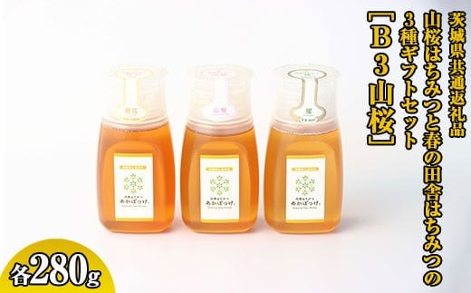 【数量限定】山桜はちみつと春の田舎はちみつの3種ギフトセット[B3山桜] 【茨城県共通返礼品／五霞町】 ※着日指定不可 | 生ハチミツ 非加熱 茨城県産 はちみつ ハチミツ 蜂蜜 国産 純粋 食べくらべ 食べ比べ セット 詰め合わせ おすすめ ミツバチ 蜜蜂 みつばち 茨城県産 贈答 贈り物 プレゼント 茨城県 古河市 送料無料 _EY02