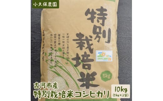 【令和7年産】古河市産 特別栽培米コシヒカリ10kg【小久保農園】 | 米 こめ コメ 10キロ こしひかり コシヒカリ特別栽培米 古河市産 茨城県産 贈答 贈り物 プレゼント 茨城県 古河市 直送 農家直送 産地直送 _AS04