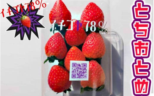 早く見つけて～！！甘い！美味しい！と巷で噂の苺をいっぱい食べてる人程食べてほしい? とちおとめ260g×4パック | いちご 苺 イチゴ 約 1キロ フルーツ おいしい トチオトメ 取り寄せ お取り寄せ ギフト 贈答 贈り物 プレゼント 茨城県 古河市 直送 農家直送 産地直送 送料無料 ※北海道・沖縄・離島への配送不可 ※2025年12月下旬頃より順次発送予定 _FE01