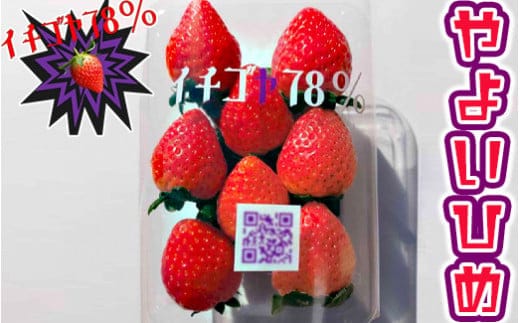 早く見つけて～！！甘い！美味しい！と巷で噂の苺をいっぱい食べてる人程食べてほしい? やよいひめ260g×4パック | いちご 苺 イチゴ 約 1キロ フルーツ おいしい やよい姫 取り寄せ お取り寄せ ギフト 贈答 贈り物 プレゼント 茨城県 古河市 直送 農家直送 産地直送 送料無料 ※北海道・沖縄・離島への配送不可 ※2025年12月下旬頃より順次発送予定 _FE02