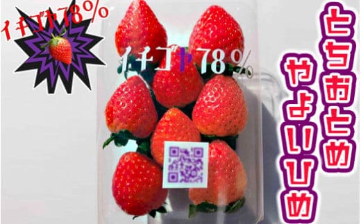 早く見つけて～！！甘い！美味しい！と巷で噂の苺をいっぱい食べてる人程食べてほしい? とちおとめ260g×2＆やよいひめ260g×2 | いちご 苺 イチゴ 約 1キロ 食べ比べ フルーツ おいしい やよい姫 トチオトメ 取り寄せ お取り寄せ 食べくらべ ギフト 贈答 贈り物 プレゼント 茨城県 古河市 直送 農家直送 産地直送 送料無料 ※北海道・沖縄・離島への配送不可 ※2025年12月下旬頃より順次発送予定 _FE03