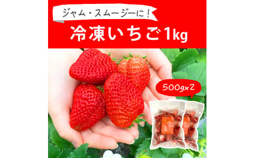 摘みたて！便利な小分け！冷凍いちご1kg(500g×2)_BI08