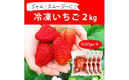 摘みたて！便利な小分け！冷凍いちご2kg(500g×4)_BI09