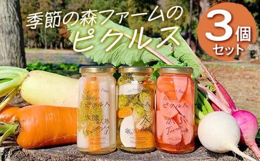 【無添加】季節の森ファームのピクルス 3個セット ※着日指定不可 | ピクルス ぴくるす 野菜ソムリエ おいしい おしゃれ 食べくらべ 取り寄せ 取り寄せ お取り寄せ ギフト 贈答 贈り物 プレゼント 父の日 お中元 お歳暮 御歳暮 茨城県 古河市 直送 店舗直送 送料無料 _BI88