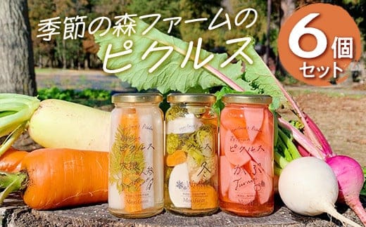 【無添加】季節の森ファームのピクルス 6個セット ※着日指定不可 | ピクルス ぴくるす 野菜ソムリエ おいしい おしゃれ 食べくらべ 取り寄せ 取り寄せ お取り寄せ ギフト 贈答 贈り物 プレゼント 父の日 お中元 お歳暮 御歳暮 茨城県 古河市 直送 店舗直送 送料無料 _BI89