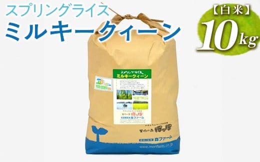 スプリングライス ミルキークィーン (白米)10kg ※着日指定不可｜米 こめ コメ 10キロ 精米 白米 ミルキークイーン みるきーくいーん 古河市産 茨城県産 取り寄せ お取り寄せ ギフト 贈答 贈り物 プレゼント お中元 お歳暮 茨城県 古河市 直送 農家直送 産地直送 送料無料 _BI23
