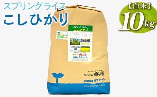 スプリングライス こしひかり (白米)10kg ※着日指定不可｜米 こめ コメ 10キロ 精米 白米 こしひかり コシヒカリ 古河市産 茨城県産 取り寄せ お取り寄せ ギフト 贈答 贈り物 プレゼント お中元 お歳暮 茨城県 古河市 直送 農家直送 産地直送 送料無料 _BI26
