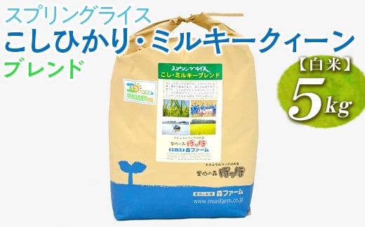 スプリングライス こしひかり・ミルキークィーン ブレンド (白米)5kg ※着日指定不可｜米 こめ コメ 5キロ 精米 白米 ブレンド米 こしひかり コシヒカリ ミルキークイーン みるきーくいーん もちもち 古河市産 茨城県産 取り寄せ お取り寄せ ギフト 贈答 贈り物 プレゼント お中元 お歳暮 茨城県 古河市 直送 農家直送 産地直送 送料無料_BI27