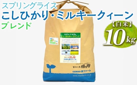 スプリングライス こしひかり・ミルキークィーン ブレンド (白米)10kg ※着日指定不可｜米 こめ コメ 10キロ 精米 白米 ブレンド米 こしひかり コシヒカリ ミルキークイーン みるきーくいーん もちもち 古河市産 茨城県産 取り寄せ お取り寄せ ギフト 贈答 贈り物 プレゼント お中元 お歳暮 茨城県 古河市 直送 農家直送 産地直送 送料無料 _BI28