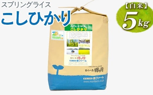 スプリングライス こしひかり (白米)5kg｜米 こめ コメ 5キロ 精米 白米 こしひかり コシヒカリ 古河市産 茨城県産 取り寄せ お取り寄せ ギフト 贈答 贈り物 プレゼント お中元 お歳暮 茨城県 古河市 直送 農家直送 産地直送 送料無料 _BI25