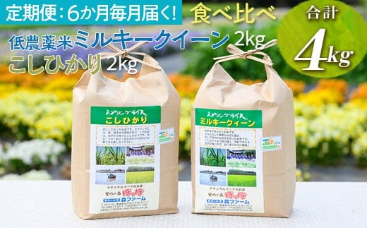 【定期便】6か月毎月届く！低農薬米ミルキークイーン2kg＋こしひかり2kg 食べ比べ 合計4kg｜米 こめ コメ 4キロ 定期便 低農薬米 食べ比べ 食べくらべ こしひかり コシヒカリ ミルキークイーン みるきーくいーん 古河市産 茨城県産 贈答 贈り物 プレゼント 茨城県 古河市 直送 農家直送 産地直送 送料無料 _BI94