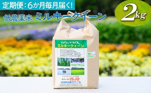 【定期便】6か月毎月届く！低農薬米ミルキークイーン2kg｜米 こめ コメ 2キロ 定期便 低農薬米 ミルキークイーン みるきーくいーん 古河市産 茨城県産 贈答 贈り物 プレゼント 茨城県 古河市 直送 農家直送 産地直送 送料無料 _BI95