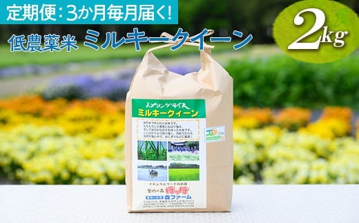 【定期便】3か月毎月届く！低農薬米ミルキークイーン2kg｜米 こめ コメ 2キロ 定期便 低農薬米 ミルキークイーン みるきーくいーん 古河市産 茨城県産 贈答 贈り物 プレゼント 茨城県 古河市 直送 農家直送 産地直送 送料無料 _BI97