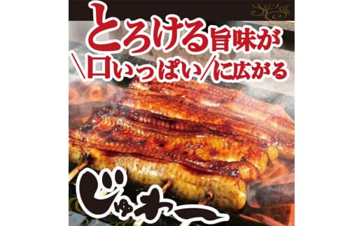 うなぎ蒲焼き&白焼きセット（蒲焼き：１６０ｇ×２・白焼き：１６０ｇ×２） | うなぎ 鰻 ウナギ 640グラム 国産 かば焼き 蒲焼き 蒲焼 白焼き うな重 ひつまぶし たれ 山椒 人気 食べくらべ 食べ比べ セット 詰め合わせ おすすめ 取り寄せ お取り寄せ グルメ 惣菜 ギフト 贈答 贈り物 プレゼント お中元 お歳暮 御歳暮 茨城県 古河市 直送 店舗直送 _AT06