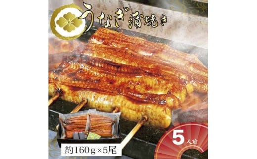 うなぎ蒲焼5人前（1人前約160g×5）贈答用パッケージ｜ うなぎ 鰻 ウナギ 800グラム 国産 かば焼き 蒲焼き 蒲焼 うな重 ひつまぶし たれ 山椒 人気 おすすめ 取り寄せ お取り寄せ グルメ 惣菜 ギフト 贈答 贈り物 プレゼント お中元 お歳暮 御歳暮 茨城県 古河市 直送 店舗直送 送料無料 _AT22