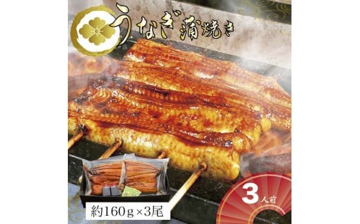 うなぎ蒲焼3人前（1人前約160g×3）贈答用パッケージ｜うなぎ 鰻 ウナギ 480グラム 国産 かば焼き 蒲焼き 蒲焼 うな重 ひつまぶし たれ 山椒 人気 おすすめ 取り寄せ お取り寄せ グルメ 惣菜 贈答 贈り物 プレゼント お中元 お歳暮 御歳暮 茨城県 古河市 直送 店舗直送_AT03