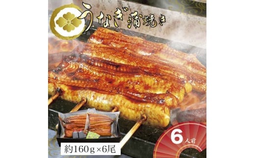 うなぎ蒲焼6人前（1人前約160g×6）贈答用パッケージ｜うなぎ 鰻 ウナギ 960グラム 国産 かば焼き 蒲焼き 蒲焼 うな重 ひつまぶし たれ 山椒 人気 おすすめ 取り寄せ お取り寄せ グルメ 惣菜 ギフト 贈答 贈り物 プレゼント お中元 お歳暮 御歳暮 茨城県 古河市 直送 店舗直送_AT12