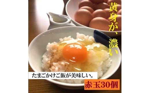 江原ファーム 体に優しい地養卵 ３０個 割れ補償 | 卵 30個 赤玉 玉子 たまご タマゴ 生卵 鶏卵 生みたて 産みたて 地養卵 新鮮 濃厚 健康 TKG たまごかけごはん ご飯のお供 国産 ギフト 贈答 贈り物 お中元 お歳暮 プレゼント 茨城県 古河市 直送 農家直送 産地直送 _AG03