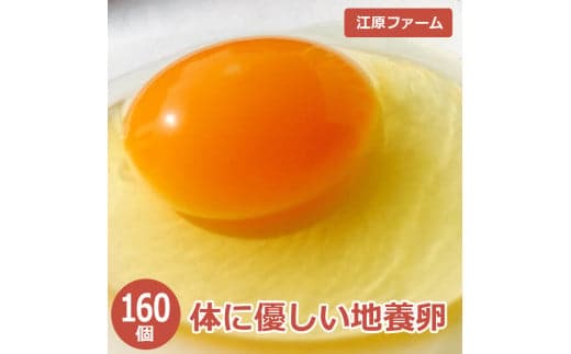 江原ファーム 体に優しい地養卵 160個 割れ補償 | 卵 160個 赤玉 玉子 たまご タマゴ 生卵 鶏卵 生みたて 産みたて 地養卵 新鮮 濃厚 健康 TKG たまごかけごはん ご飯のお供 国産 ギフト 贈答 贈り物 お中元 お歳暮 プレゼント 茨城県 古河市 直送 農家直送 産地直送_AG06